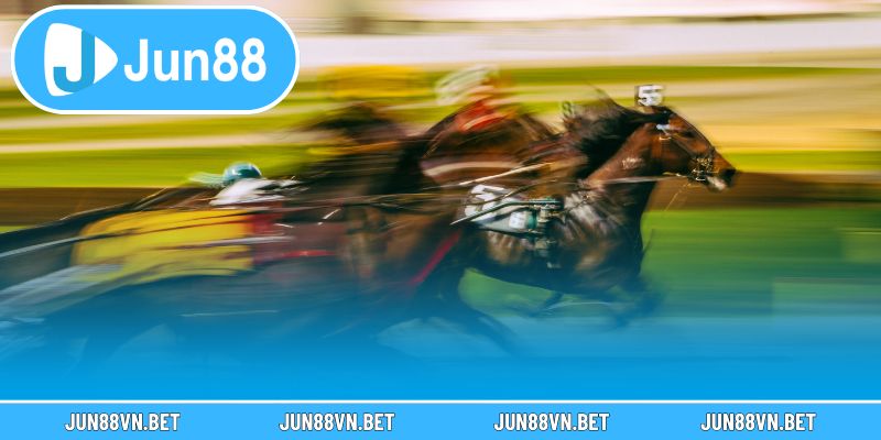 Bỏ túi các mẹo cược đua ngựa hiệu quả