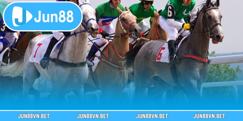 Hướng dẫn đua ngựa chi tiết các cược thủ tại Jun88