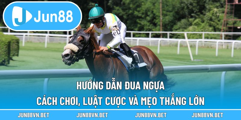 Hướng Dẫn Đua Ngựa – Cách Chơi, Luật Cược Và Mẹo Thắng Lớn
