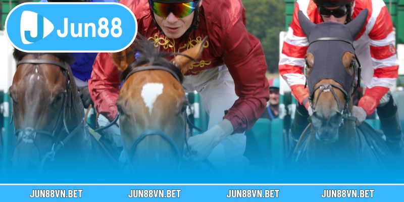 Khái quát nhanh về cược đua ngựa